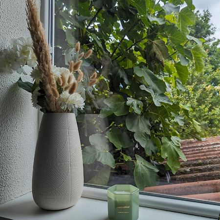 Evasion Verte En Alsace ! Niederschaeffolsheim Eksteriør billede